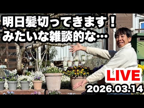 ◇雑談来る〜〜〜！絶対見ないでねっ♡ - YouTube