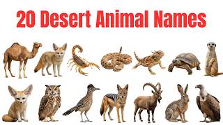 20 Desert Animals Names for Kids | Learn Desert Animals in English | Animal Names Learning Video