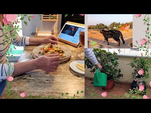 Rutina después de las "Vacaciones".  Cocino algo sencillo para una persona