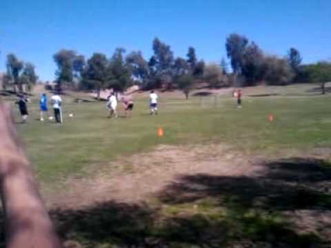 Perfect Free Kick Ronaldinho