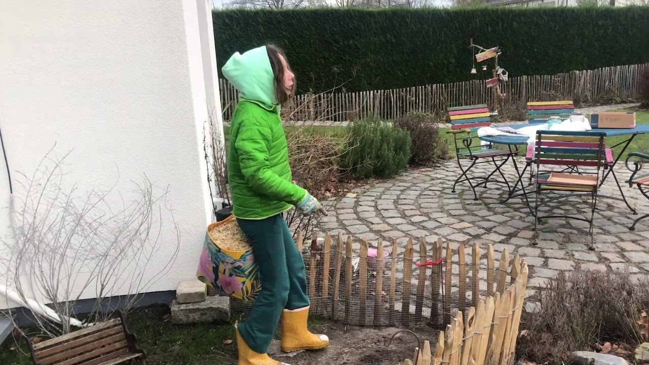 cavia hok verschonen