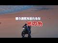 戦う勇気を忘れるな「光の糸」だらけ