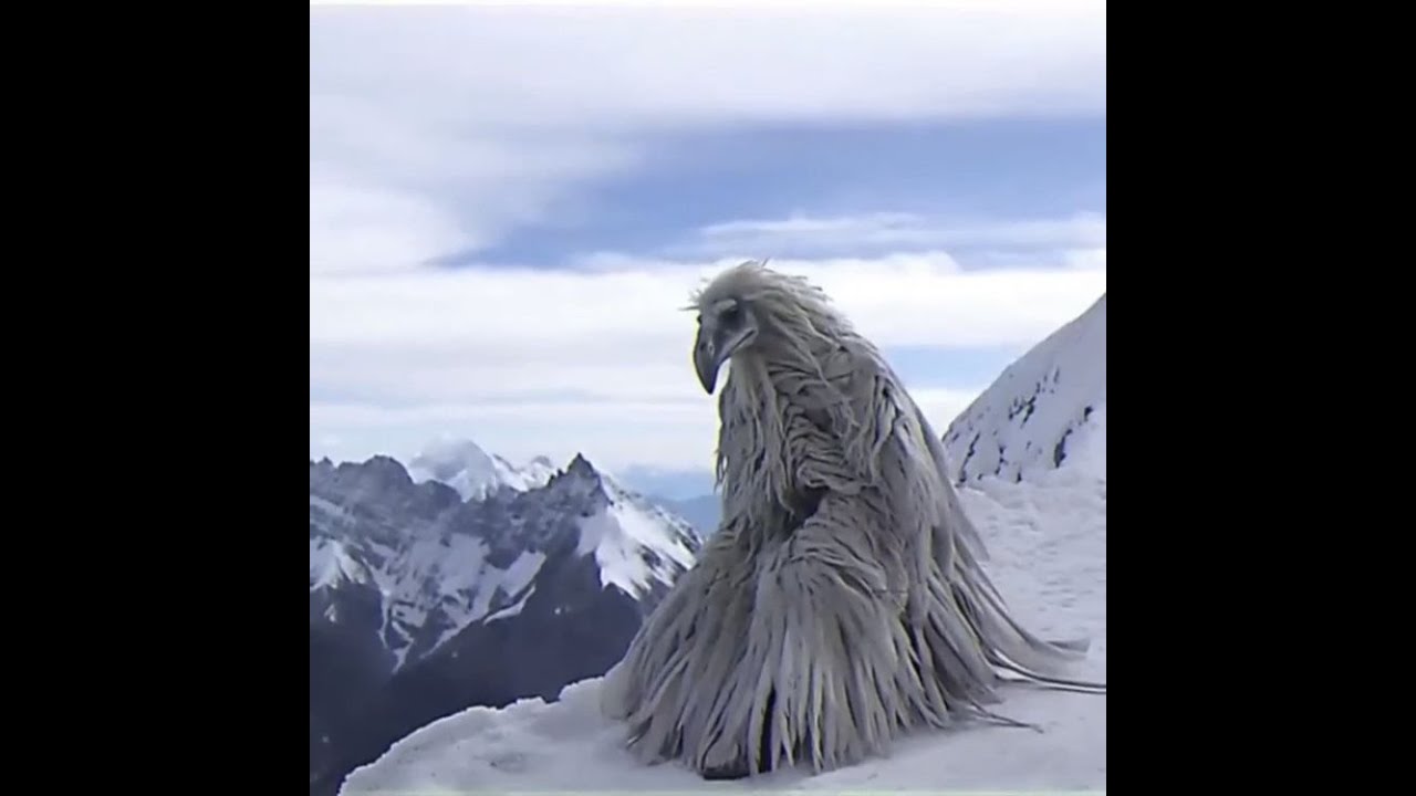 [FREE] Opium Bird / Erosion Bird Type Beat - "xpium"