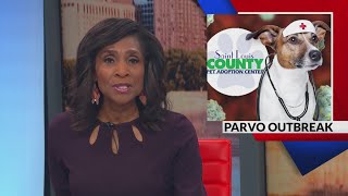 St. Louis County animal adoption center euthanizes 19 dogs after parvo outbreak