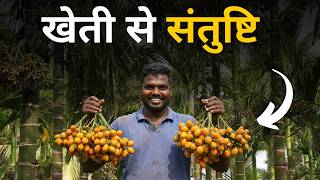 सुपारी के बागान में बड़ा बदलाव | मिट्टी नरम होने का कारण क्या है? | Integrated Arecanut Farming screenshot 3