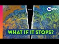 How Ocean Currents Work (and How We Are Breaking Them)