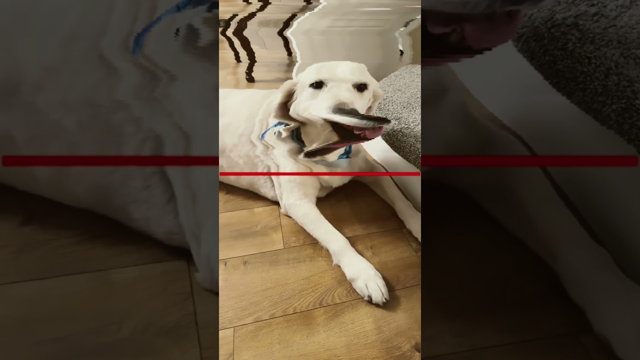 OHHH MY GAaAaaAwwWwDdd #whatthehellothere