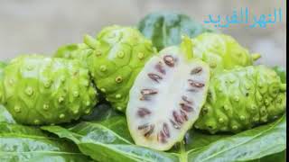 فائدة فاكهة النوني لعلاج السرطان والتهاب المفاصل والفيبروميالجيا د ليث