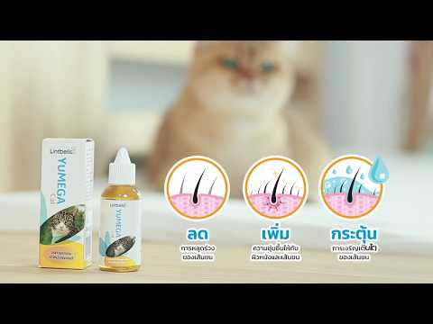 YuMEGA Cat Essential Omega Oils ตัวช่วยในการดูแลผิวหนังและเส้นขนของน้องแมว
