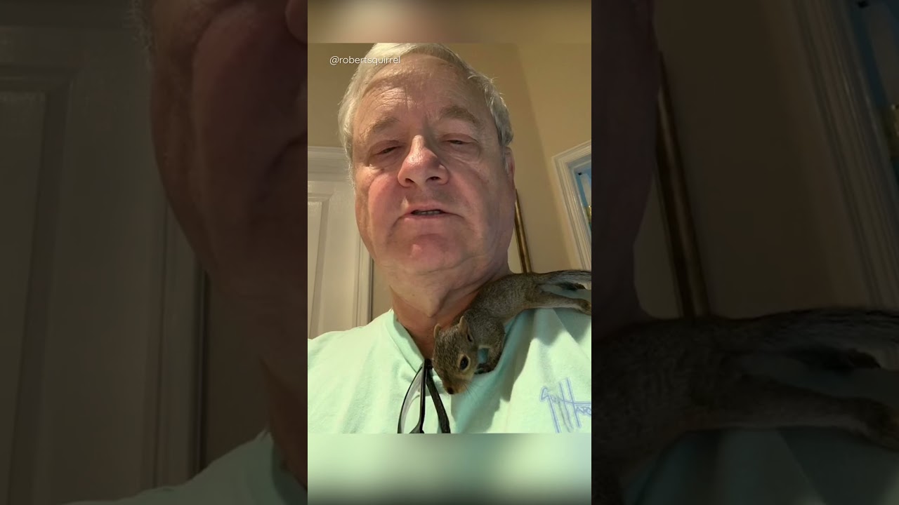 Watch this tiny creature grow up and move into his rescuer's tree 😍