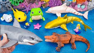 [toy asmr] ZURU Alive Great White Shark & Golden Shark & Baby Crocodile | Review Toys ASMR