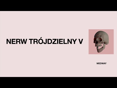 ANATOMIA #17: Nerw trójdzielny V