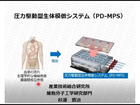 圧力駆動型微小生理学的システム(PD-MPS)の解説動画