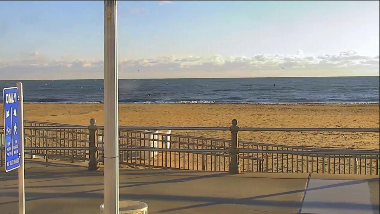 Virginia Beach Live Music Calendar Today Free