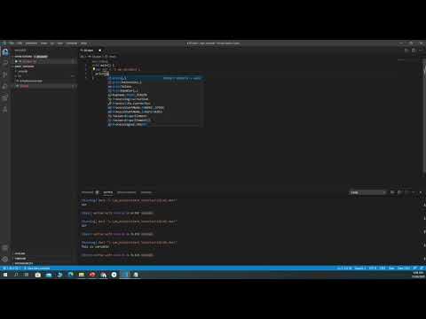 Dart Tutorial 8 use var to decare variables