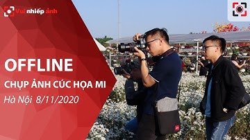 #VNA_OFFLINE | CHỤP ẢNH CÚC HỌA MI | HÀ NỘI 8.11.2020