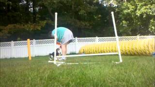 backside jump 1