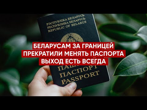 Беларусам прекратили выдавать паспорта за границей: что делать? #беларусь #паспортрб