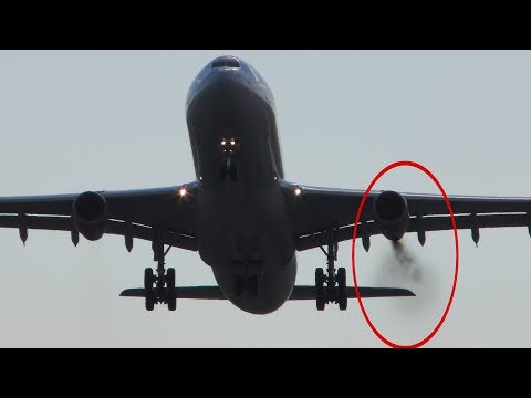 ENGINE BIRDSTRIKE during Takeoff! Airbus A340 Fully Loaded Departure | Copenhagen Airport