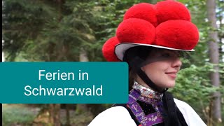 2.A. Lies die folgenden Texte und bearbeite die Aufgaben! (16)  (Only two texts will be given)
