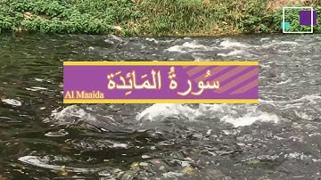 سورة المائدة Al-Maaida | بصوت عذب يريح القلب