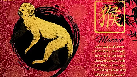 Como será o Ano do Macaco?