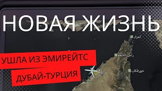 :     ,  ,  