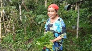 Kampung Cihonje Saat Hujan Turun Bikin Sejuk Bikin Nyaman || Pedesaan Sunda!!