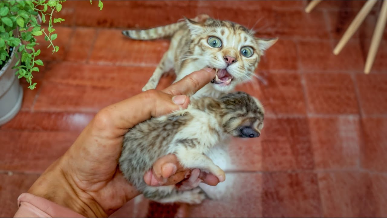 She touched gently, as though guiding me to her family.