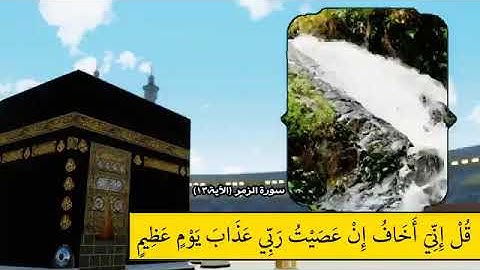 آياتٌ مختارةٌ مِنَ الذكرِ الحكيم ورةُ الزمر (الآية ١٣)#أهل_القرآن_الأبرار