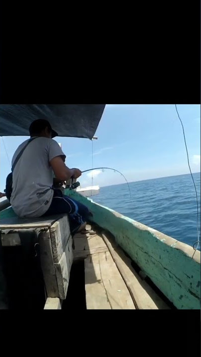 joran kenzi 8-17 lbs hampir patah ditarik ikan size badak #shorts