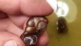 Celebrity Fire Agate Tutorials~ Grading and cutting Wealth