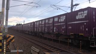 日本海縦貫線貨物列車3091レ 牽引機：EF81 735 + EF510-18 (ムド)