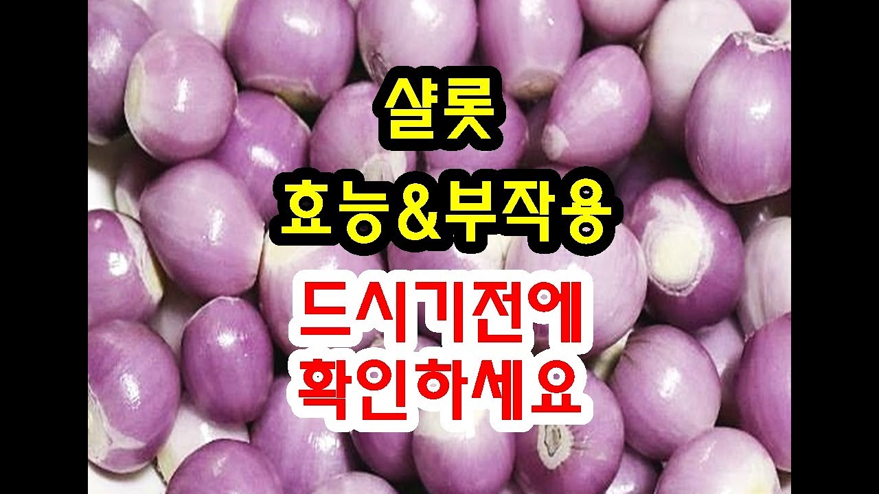 샬롯 효능과 부작용 드시기전에 확인하세요~ - YouTube