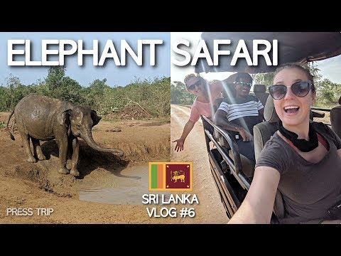 wild-elephant-safari-in-udawalawe-national-park!-|-sri-lanka-travel-vlog-#6