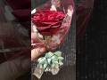 Happy Rose Day#youtube#trending#ytshorts#rose#love