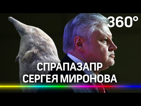 Сергей Миронов: мы не выхухоль и никогда ей не были. «Справедливая Россия» создала новую партию