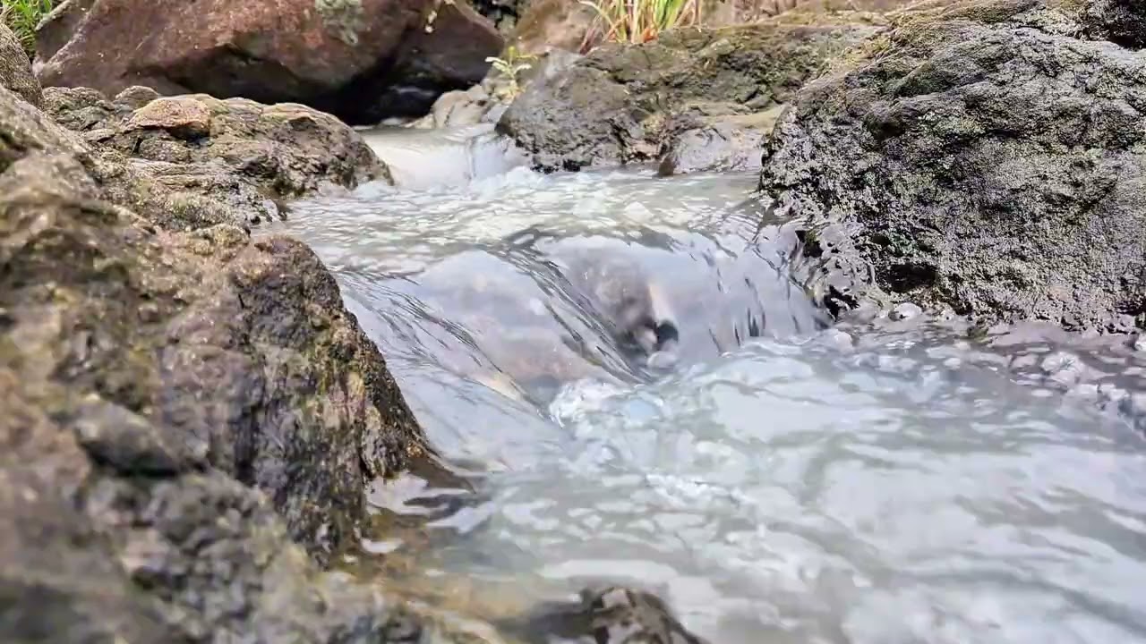 Fall Asleep Fast 🌙 30 Min Peaceful River Sounds for Stress Relief & Deep Sleep