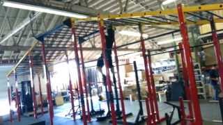 Pit Bull The King Monkey Bar Rig