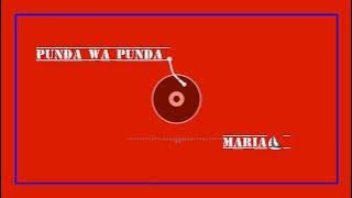 PUNDA WA PUNDA, MARIA (AUDIO MUSIC)
