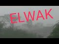 Elwak
