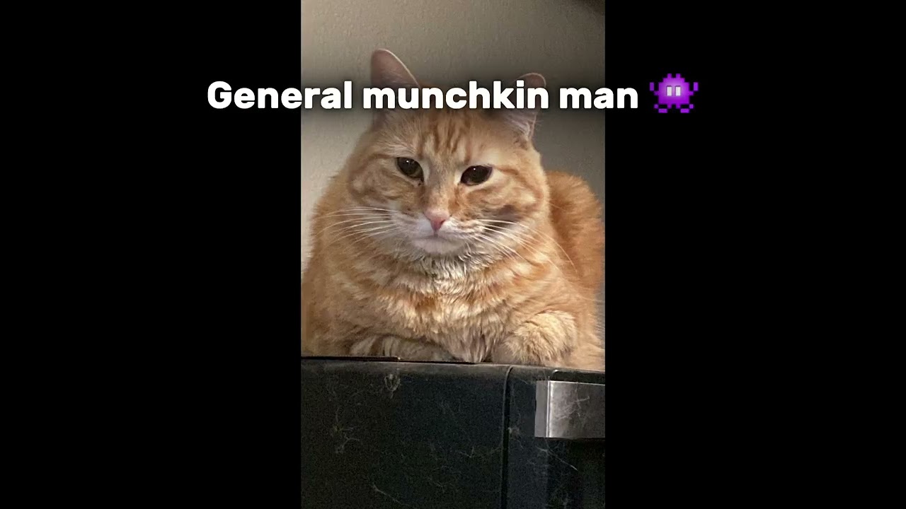 Dont mess with them😏😐 