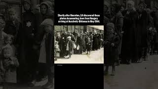 Lili Jacob's Arrival At Auschwitz Resimi