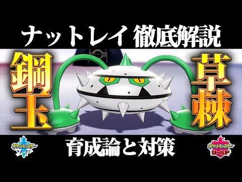 ソードシールド ナットレイの種族値 わざ 特性など能力と入手方法 ポケモン剣盾 攻略大百科