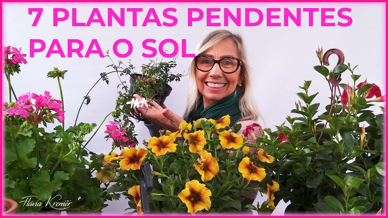 7 plantas PENDENTES para o SOL | Flávia Kremer - thptnganamst.edu.vn