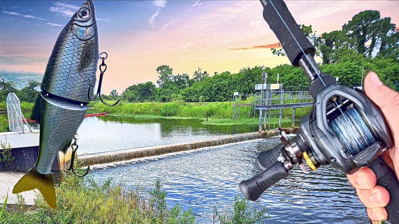 Throwing Big Swimbaits at Small Spillway!