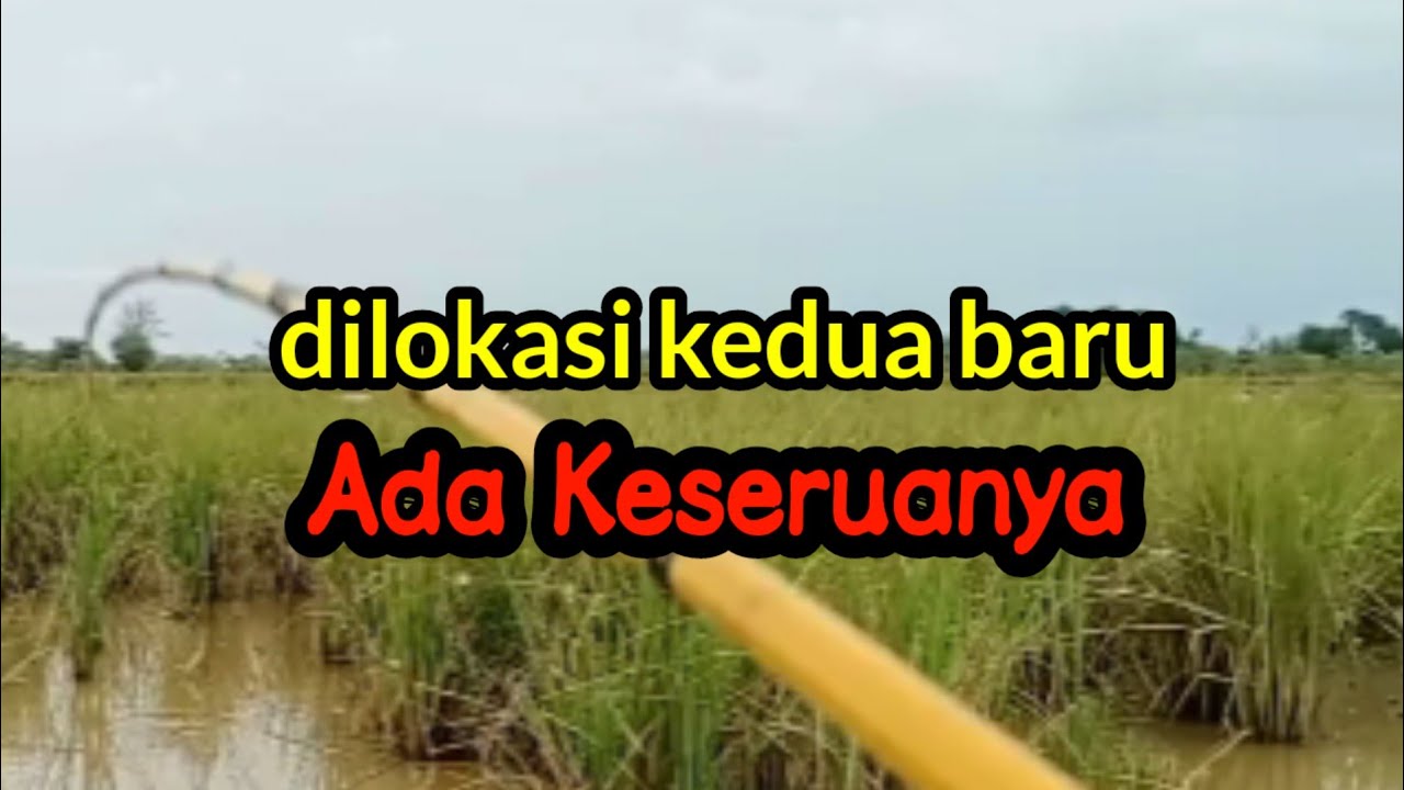 Pindah lokasi kedua baru ada serunya