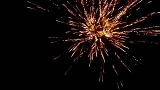 Backyard firework show 2016