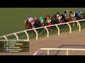 2024 Breeders' Cup Juvenile Turf - Henri Matisse