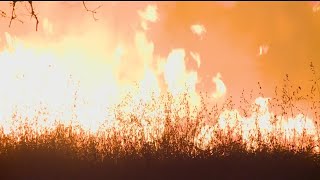Arson Investigated As Possible Cause Of Fire Near Robla Elementary